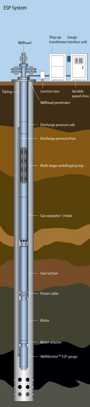 Water World Drilling